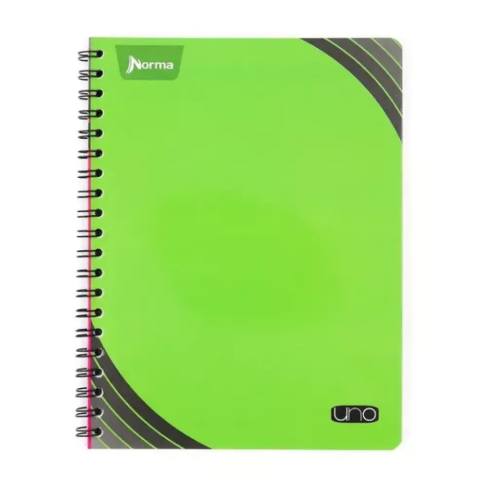 CUADERNO PROFESIONAL NORMA UNO 100 H. RAYA