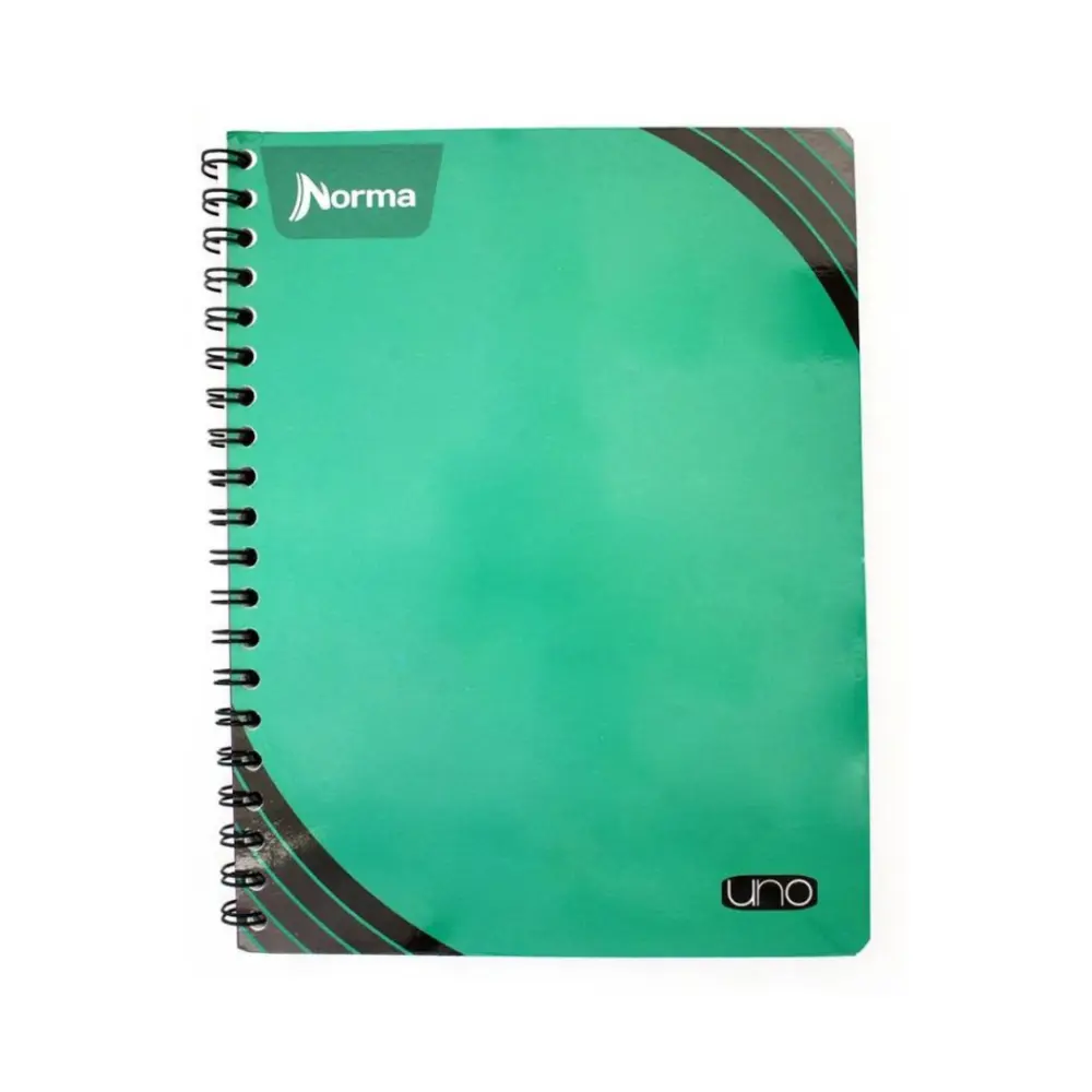 CUADERNO PROFESIONAL NORMA UNO 100 H. C7