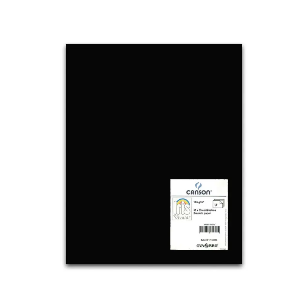 CARTULINA I. VIVALDI 50X65 185G NEGRO 38