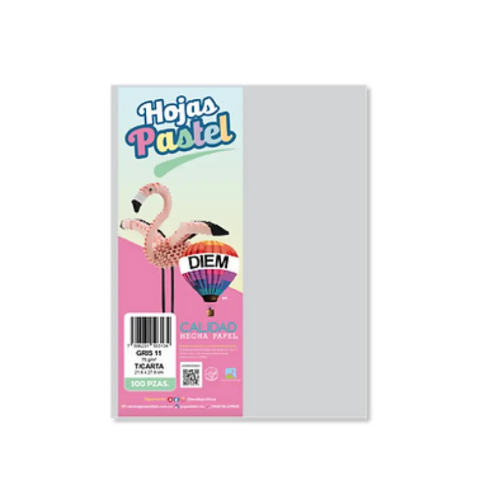 PAPEL DIEM CARTA PASTEL PTE. C/100 11 GRIS
