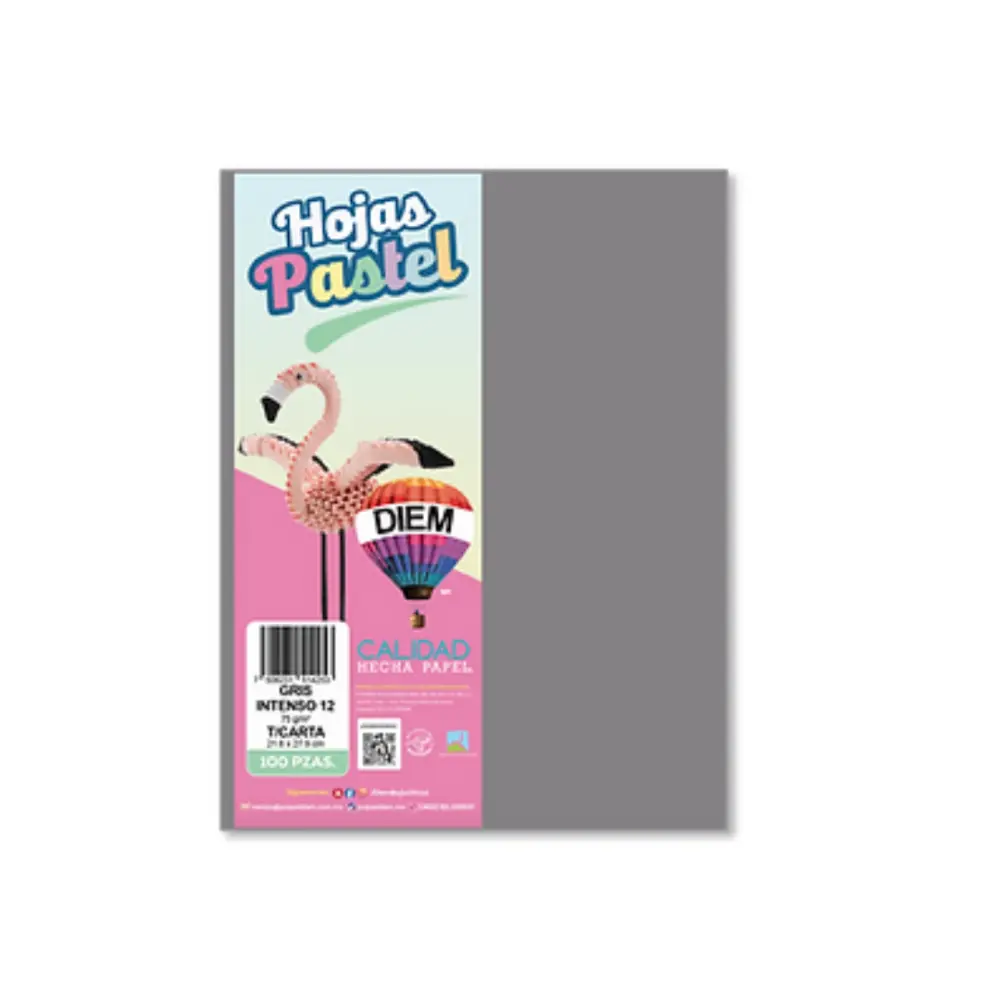 PAPEL DIEM CARTA PASTEL PTE. C/100 12 GRIS INTENSO