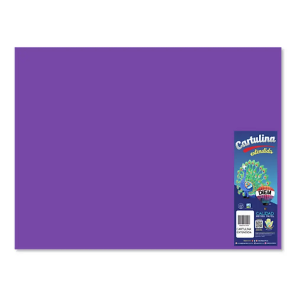 PAPEL DIEM CARTA MULTICOLOR BRIGHTS 10 COL. PTE. 25