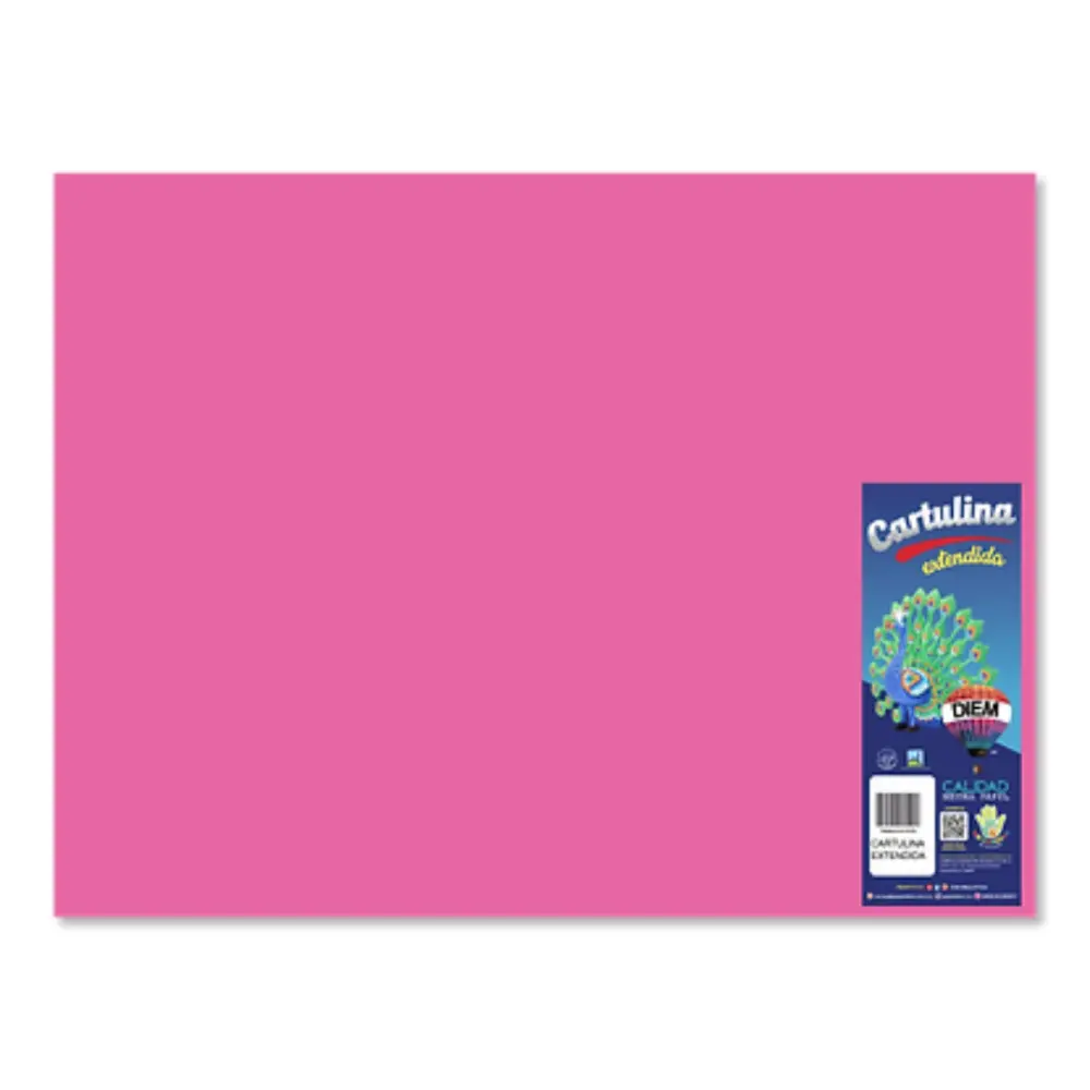 CARTULINA DIEM BRIGHTS 50X66 PTE. C/10 1A PURPURA