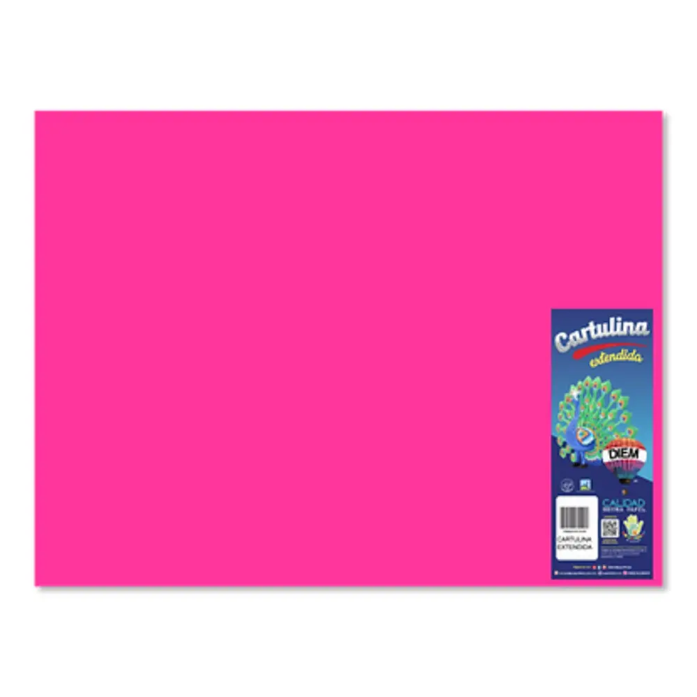 CARTULINA DIEM BRIGHTS 50X66 PTE. C/10 02 FIUSHIA