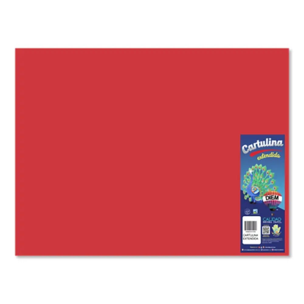 CARTULINA DIEM BRIGHTS 50X66 PTE. C/10 05 ROJO