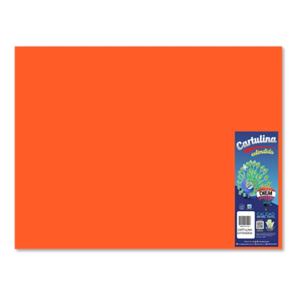 CARTULINA DIEM BRIGHTS 50X66 PTE. C/10 06 NARANJA