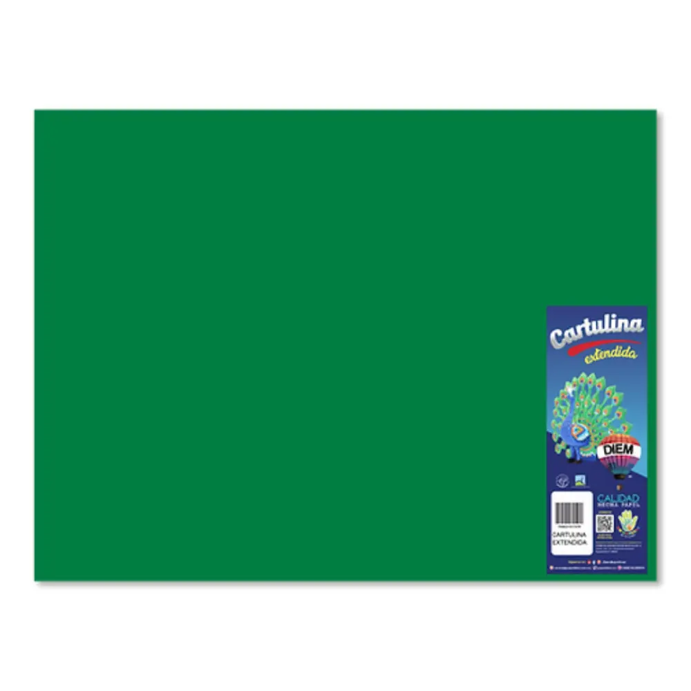 CARTULINA DIEM BRIGHTS 50X66 PTE. C/10 13 VERDE BANDERA