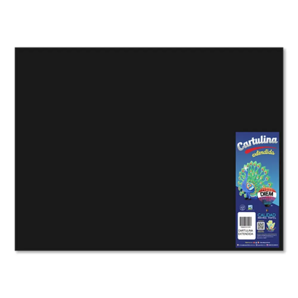 CARTULINA DIEM BRIGHTS 50X66 PTE. C/10 18 NEGRO