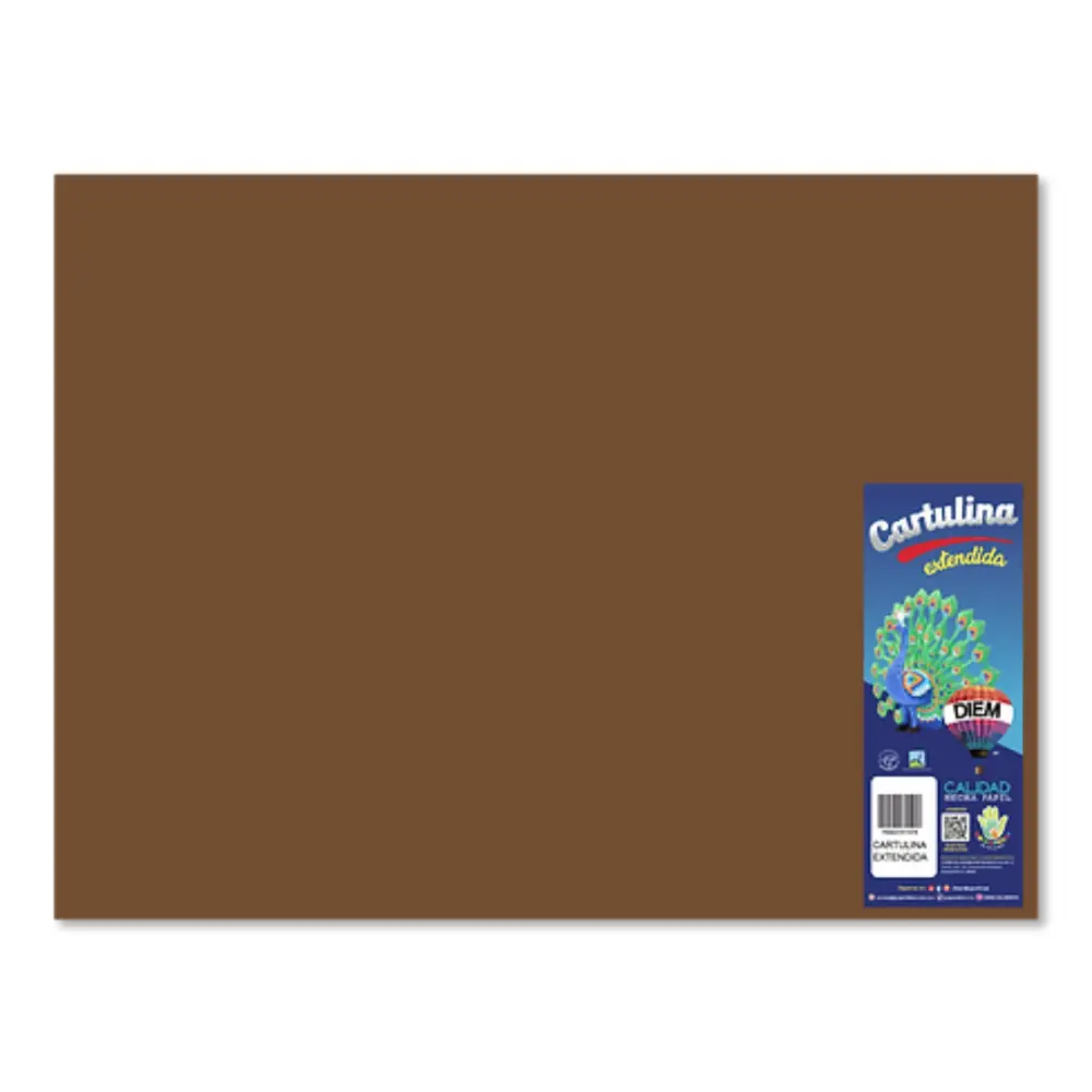 CARTULINA DIEM BRIGHTS 50X66 PTE. C/10 19 CAFE OSCURO