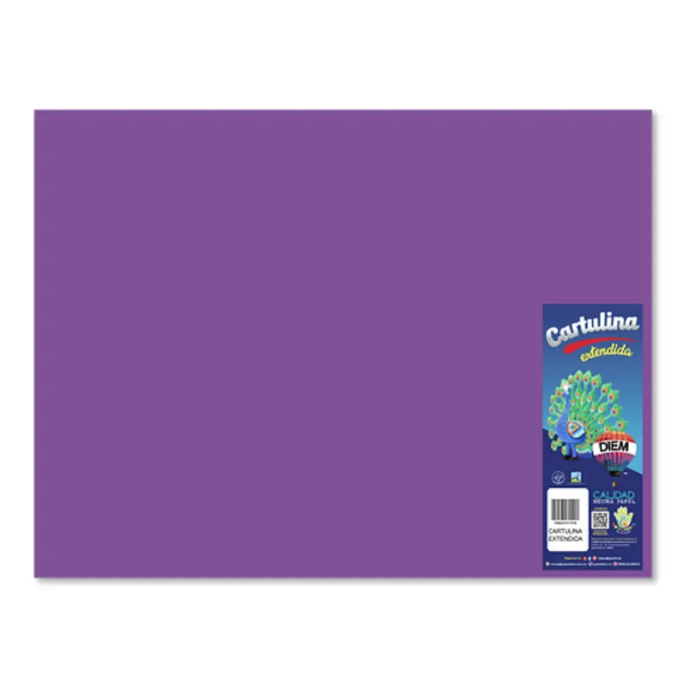 CARTULINA DIEM BRIGHTS 50X66 PTE. C/10 27 MORADO INTENSO