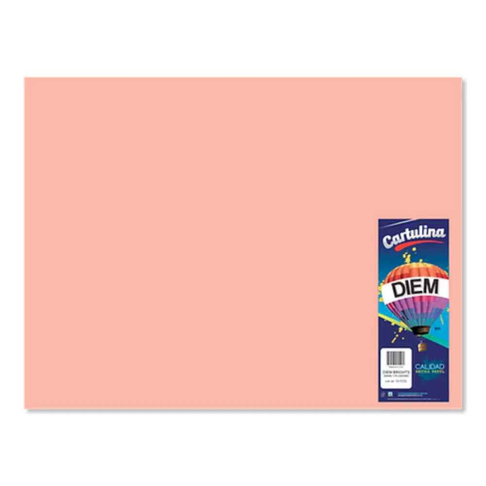 CARTULINA DIEM PASTEL 50X66 PTE. C/10 03 SALMON