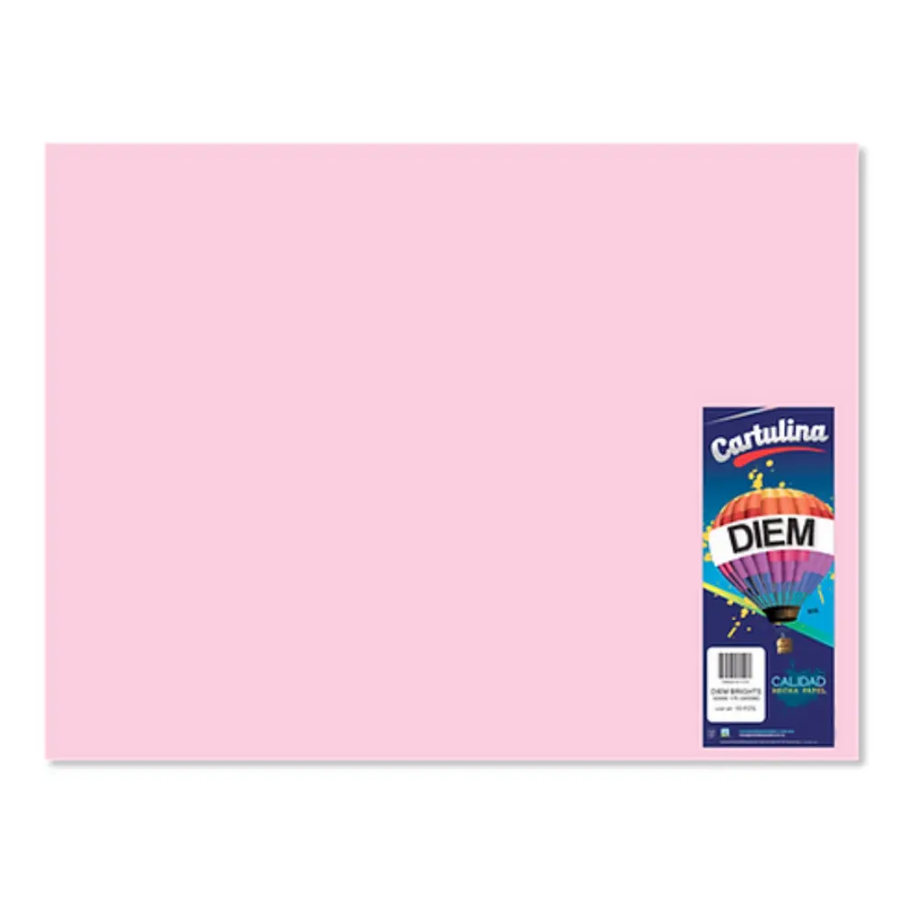 CARTULINA DIEM PASTEL 50X66 PTE. C/10 05 ROSA