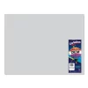 CARTULINA DIEM PASTEL 50X66 PTE. C/10 11 GRIS CLARO