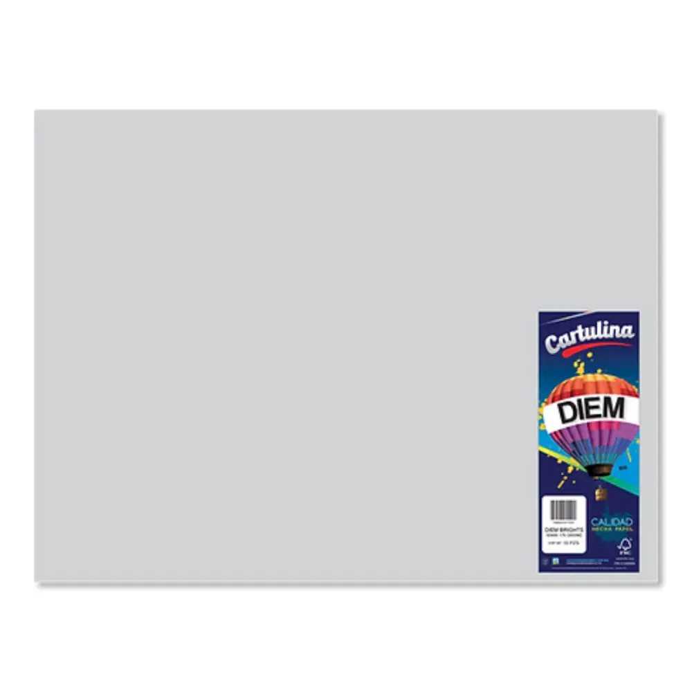 CARTULINA DIEM PASTEL 50X66 PTE. C/10 11 GRIS CLARO