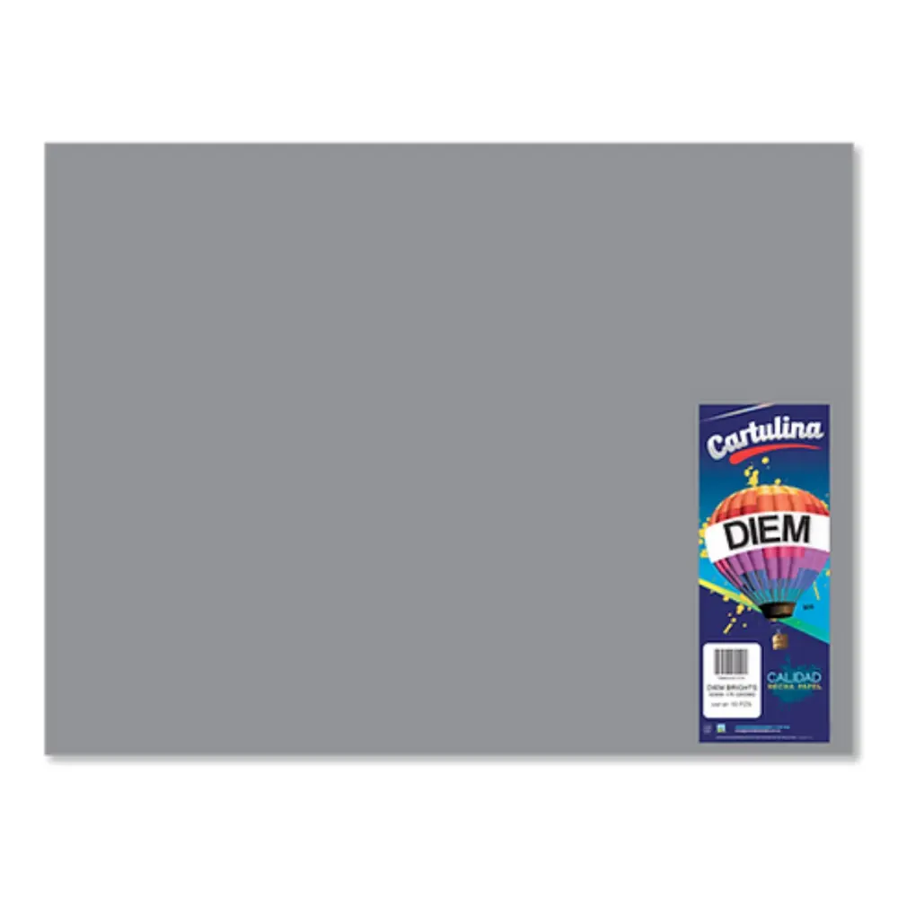 CARTULINA DIEM PASTEL 50X66 PTE. C/10 12 GRIS INTENSO