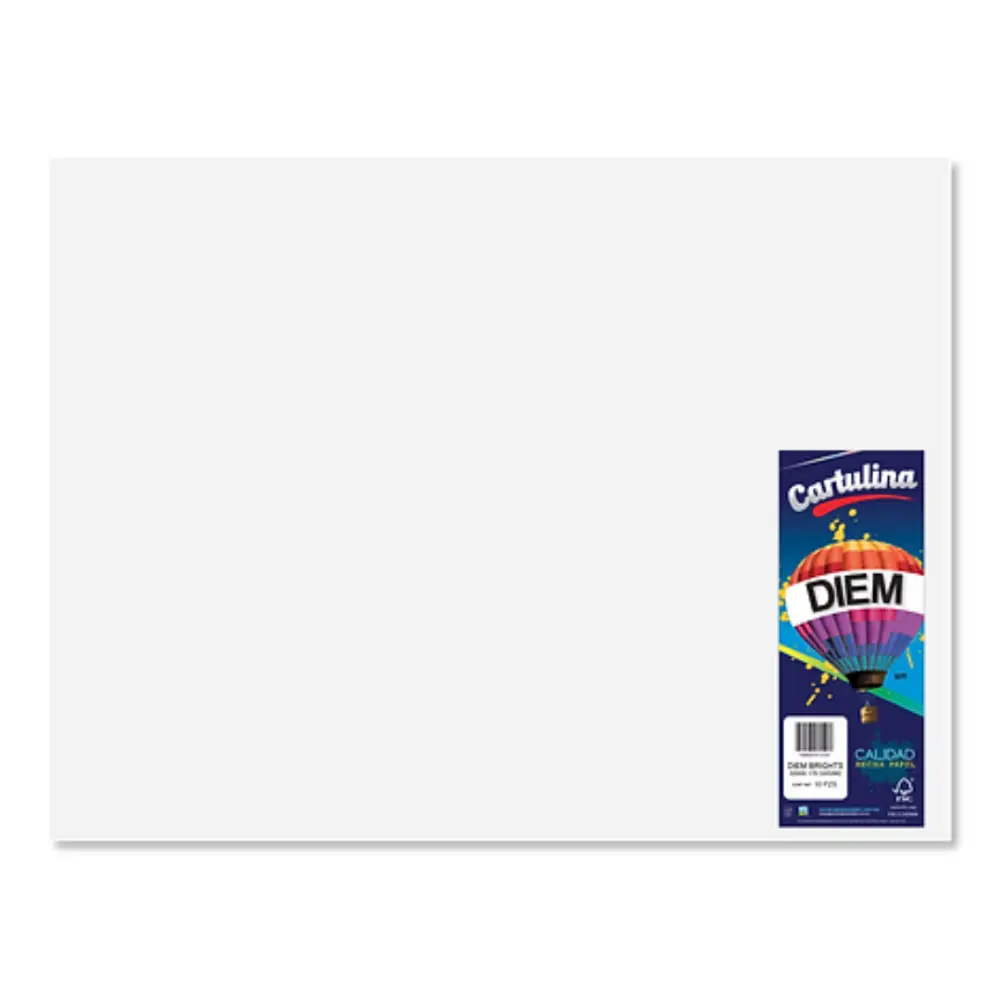 CARTULINA BRISTOL DIEM BLANCA 50X65 GRUESA PTE. C/50 PZAS.
