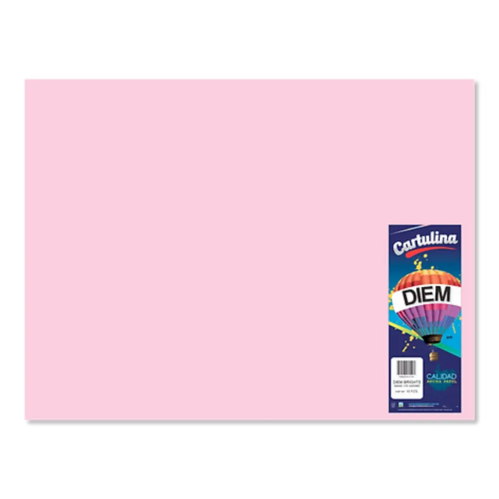 CARTULINA BRISTOL DIEM ROSA 50X65 GRUESA PTE. C/25 PZAS.