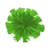 PLUMAS BARRILITO COLOR VERDE BOLSA C/18 GR. - Imagen 2