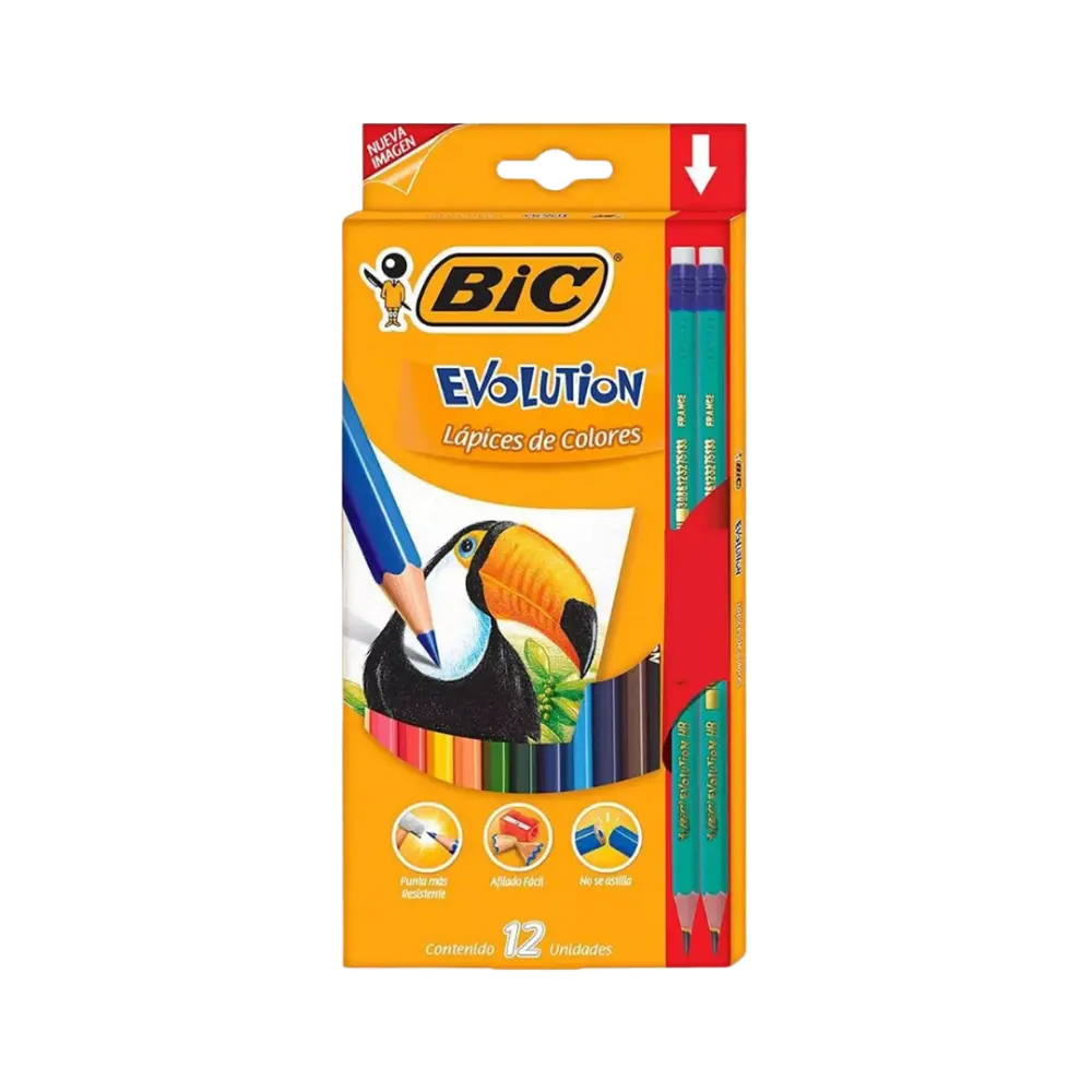 COLORES BIC EVOLUTION C/12 PZAS