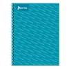 CUADERNO PROFESIONAL NORMA UNICOLOR 100 H. RAYA