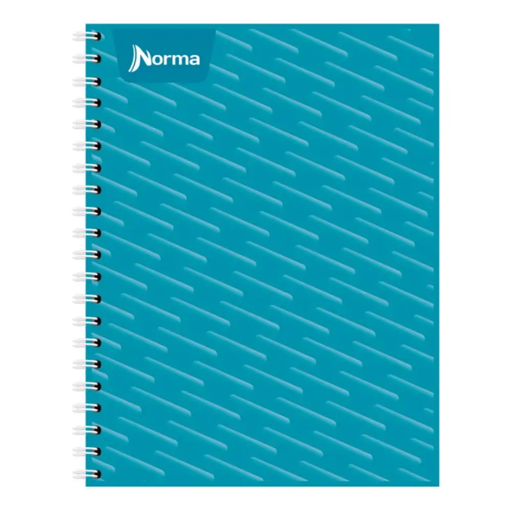 CUADERNO PROFESIONAL NORMA UNICOLOR 100 H. RAYA