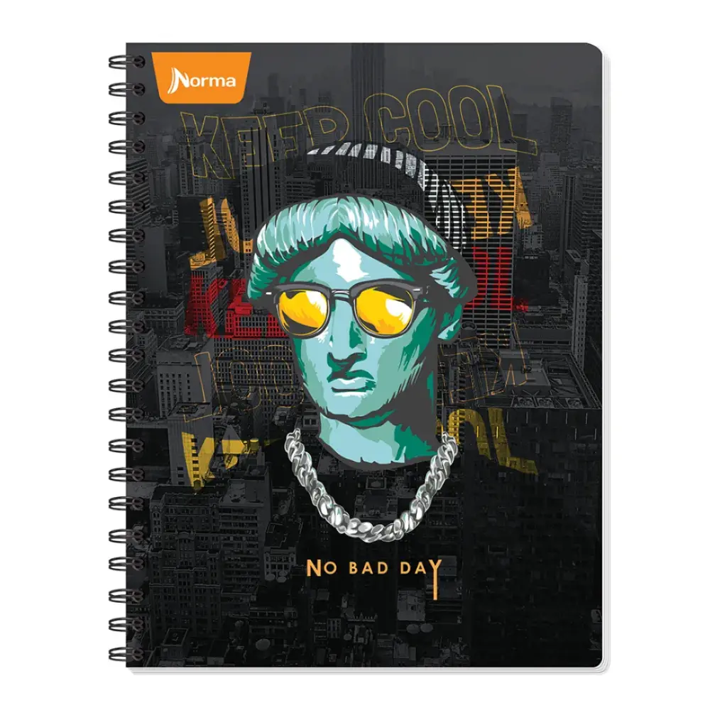 CUADERNO PROFESIONAL NORMA BASIC 100 H. RAYA