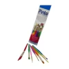 SET PINCEL PINTO TAKLON DE COLORES - PTK - Imagen 2