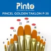 SET DE PINCEL PINTO TAKLON DORADO - PTO - Imagen 2