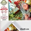BASTIDOR COLLEGE CANVAS PINTO (35X45)CM - Imagen 3