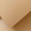 CARTULINA FABRIANO COLORE 185G AVANA 50X65CM