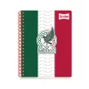 CUADERNO PROFESIONAL SELECCION MEXICANA 100 H. RAYA
