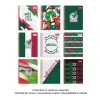 CUADERNO PROFESIONAL SELECCION MEXICANA 100 H. RAYA - Imagen 3