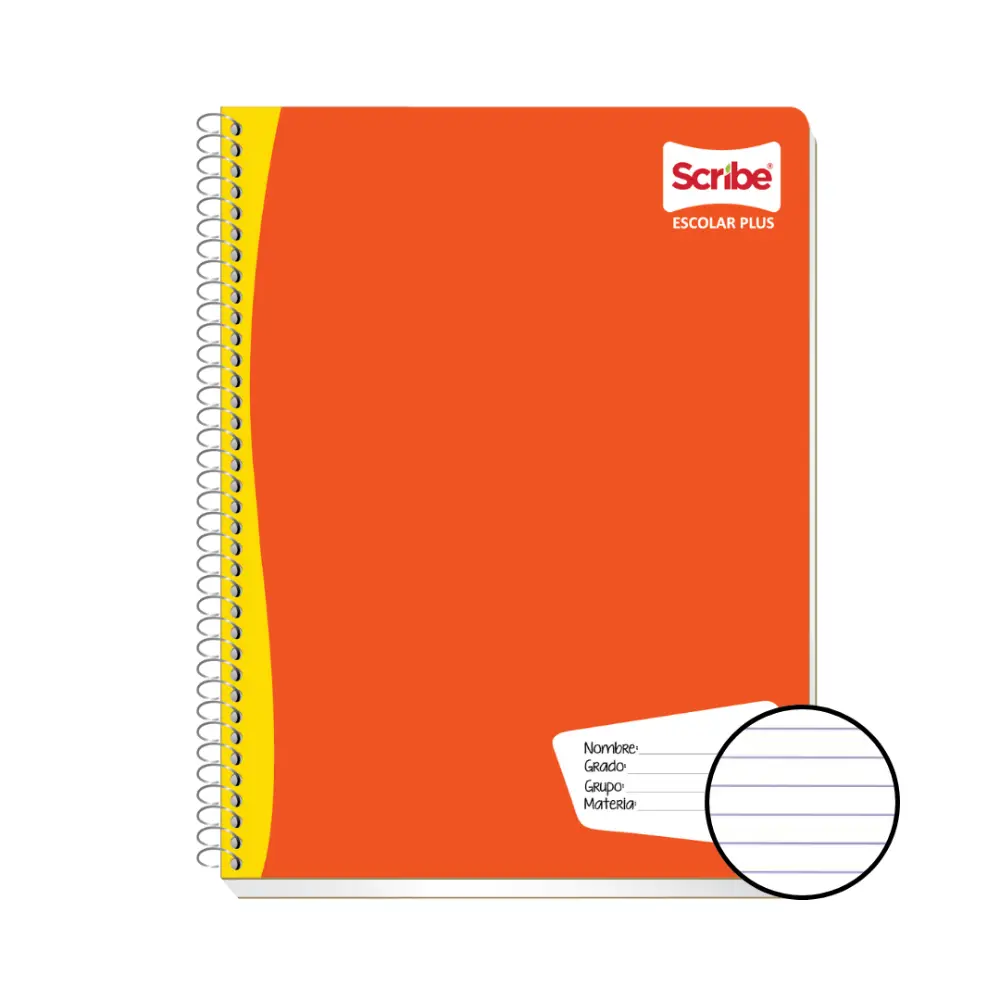 CUADERNO PROFESIONAL ESCOLAR PLUS 100 H. RAYA