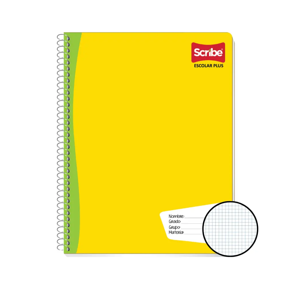 CUADERNO PROFESIONAL ESCOLAR PLUS 100 H. CUADRO 5