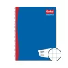 CUADERNO PROFESIONAL ESCOLAR PLUS 100 H. CUADRO 14 MM.