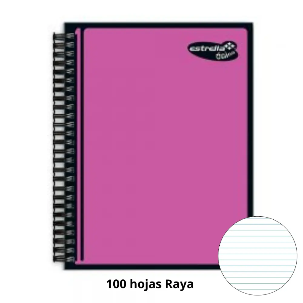 CUADERNO PROFESIONAL ESTRELLA UNICO 100 H. RAYA