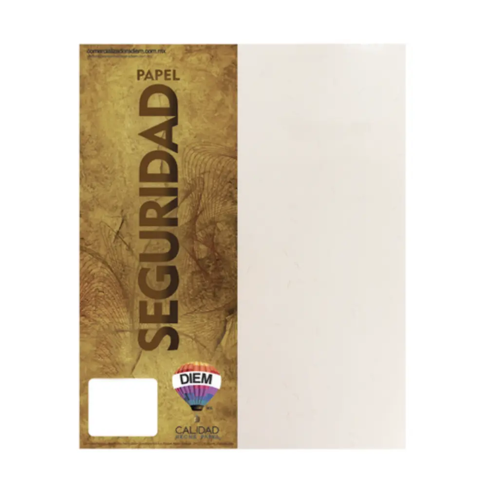 PAPEL SEGURIDAD DIEM 90 GRS. CARTA PTE. C/100 PZAS.