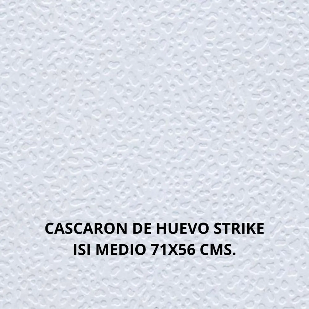 CASCARON DE HUEVO STRIKE ISI MEDIO 71X56 CMS.
