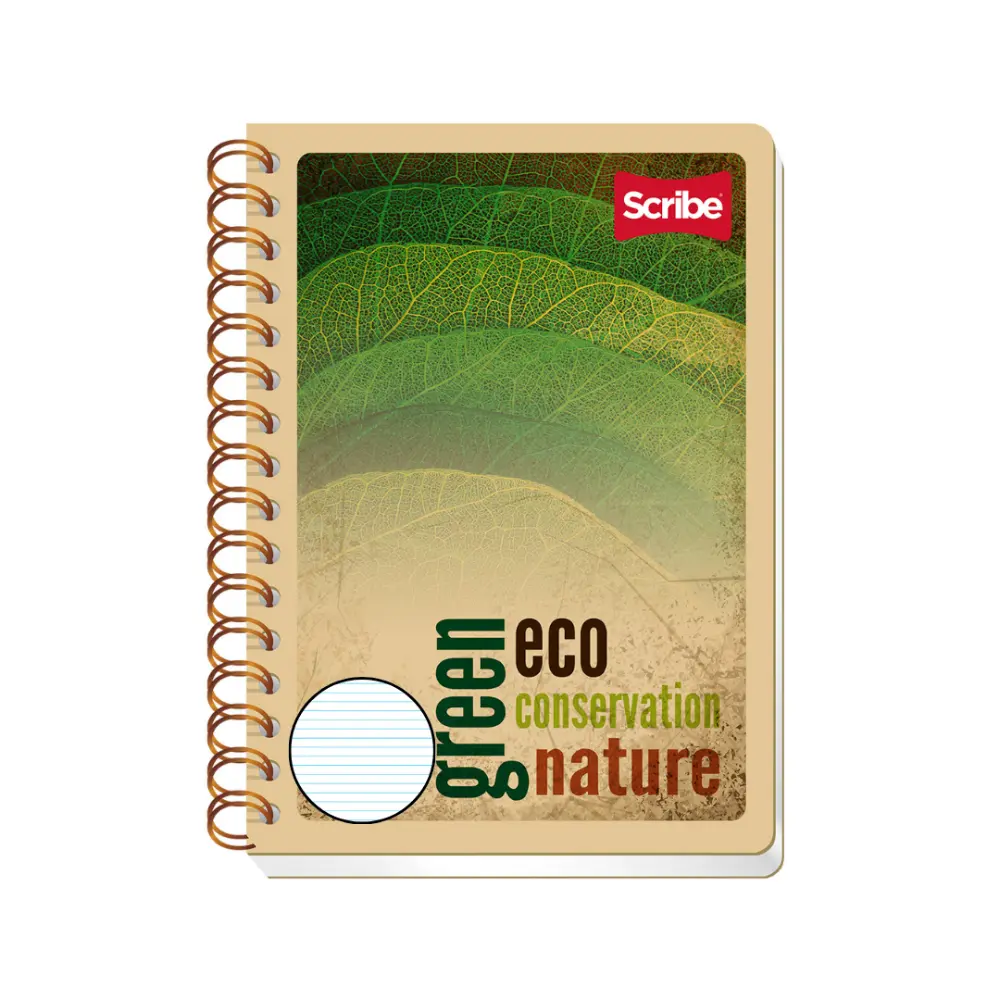 CUADERNO FORMA FRANCESA ECOLOGICO 100 H. RAYA
