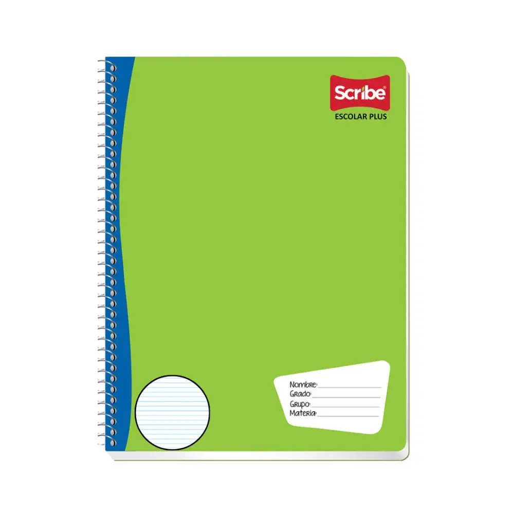 CUADERNO PROFESIONAL 100 H. RAYA