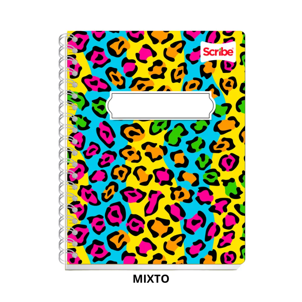 CUADERNO PROFESIONAL 100 H. MIXTO