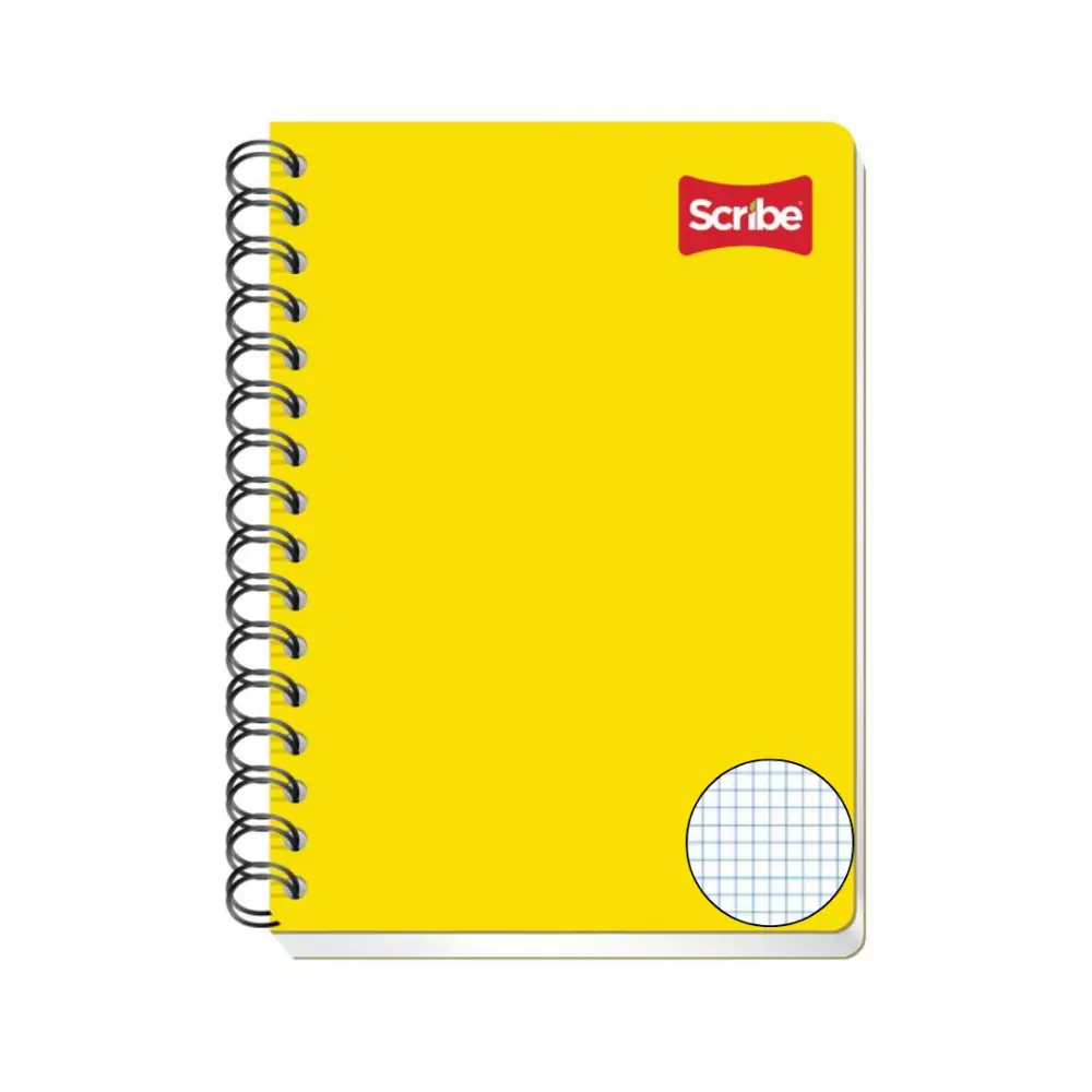 CUADERNO F/FRANCESA 7 MM 100H